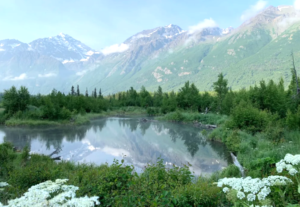 living in Alaska with nature
